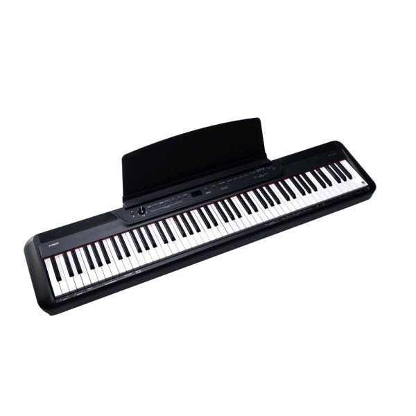 PORTABLE-DIGITAL-PIANO-BLACK-FP6+1PEDAL-FLYKEYS---1