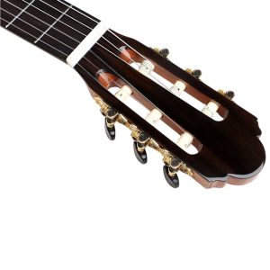 Guitarra Electroacústica CG-830SS-39 Kaysen - Image 2