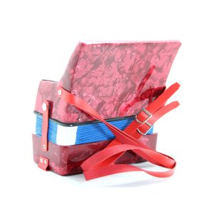 Acordeón para Niño 8 bajos DF911 Bee - Image 8