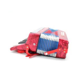 Acordeón para Niño 8 bajos DF911 Bee - Image 6