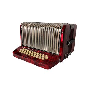 Acordeón de 12 bajos YW667 Freedom - Image 4