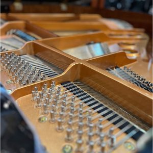 Piano de 1/4 de Cola Phoenix - Image 10