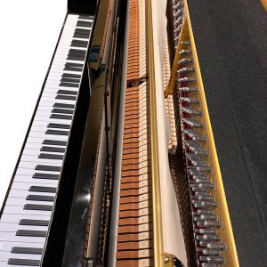 Piano Vertical Acústico UP-123 Phoenix - Image 7