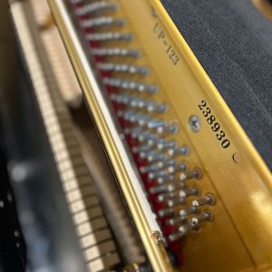 Piano Vertical Acústico UP-123 Phoenix - Image 8